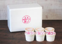 【塩田商店】塩田商店謹製 平塚味噌アイス／味噌チーズアイス 6個入り〈2種×各3個〉（商品コード：TF540376）