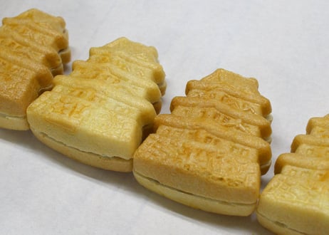 【御菓子処　丸寿】湘南・藤沢 献上銘菓「大庭城最中　8個入り」（商品コード：TF180487）
