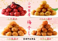 【小田原・田中屋本店】小田原産　梅干し（しそ/はちみつ/うす塩/白干し）商品コード：TF650542