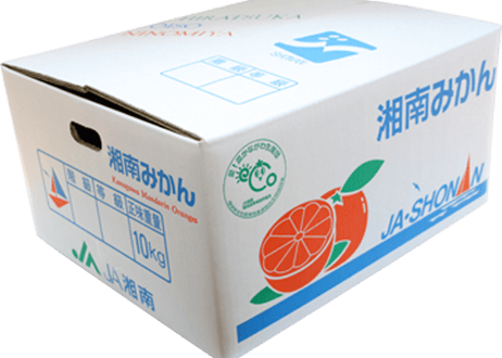 送料込み！『みかん農家さん応援企画』2024年産【大磯･二宮】湘南みかん10kg