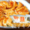 【みやの餃子】餃子ギフトセット（冷凍）（商品コード：TF500350）