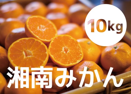 送料込み！『みかん農家さん応援企画』2024年産【大磯･二宮】湘南みかん10kg