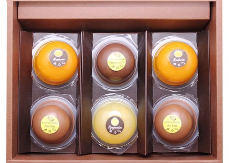 【お中元】<送料込>ILE du CHOCOLAT(イル・ド・ショコラ)「ジュレ＆ショコラ6個セット」（商品コード：TF290601）