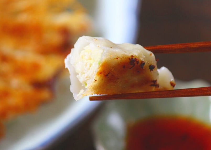 みやの餃子】餃子ギフトセット（冷凍）（商品コード：TF500350