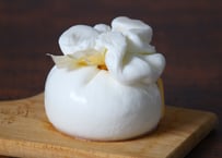 【Osteria e Bottega S】自家製ブッラータチーズ（商品コード:TF530372）