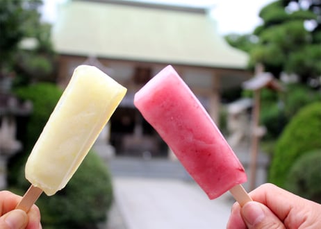 【お中元】〈送料込〉御菓子処　丸寿「湘南ゴールド大福＆湘南葛氷」（商品コード：TF180491）