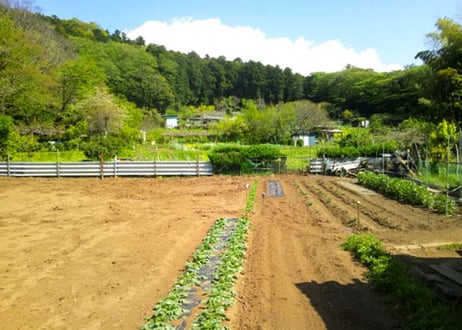 【北鎌倉菜園】鎌倉辣油　「鎌倉薬膳辣油」　「鎌倉香味辣油」（商品コード：TF680581）