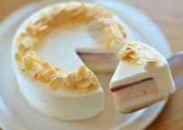 ☆ジェラートワールドツアージャパン2位受賞！☆鎌倉　GELATERIA SANTi【自然素材】「季節のフルーツジェラートケーキ」（商品コード：TF120321）