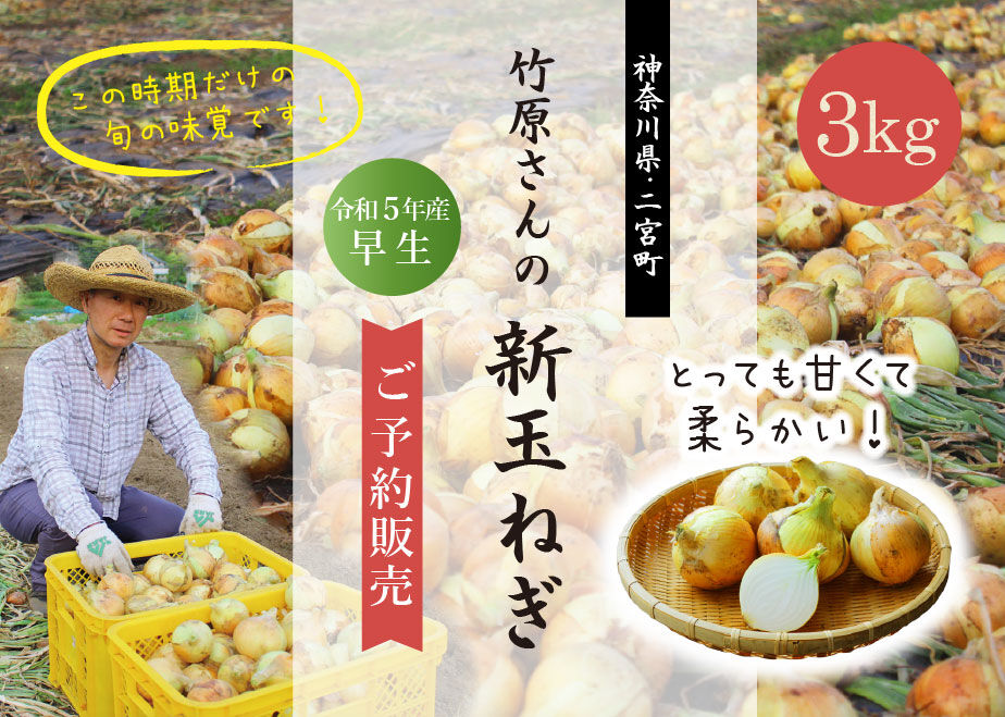 竹内玉苑作　額 黒土掛花生 (KT-275) 作家「竹内紘三」