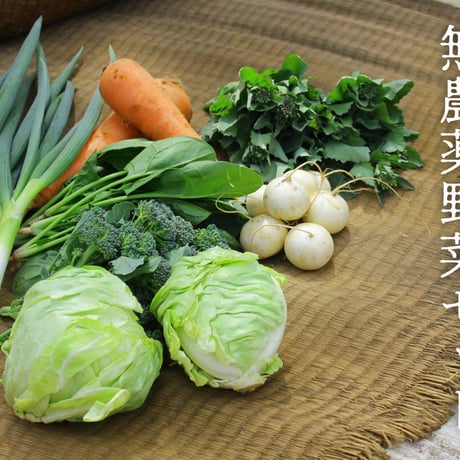 茅ヶ崎 島次郎農園「旬の無農薬野菜セット」(商品コード：TF050014)