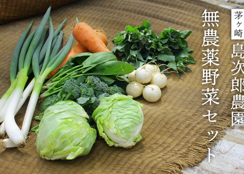 茅ヶ崎 島次郎農園「旬の無農薬野菜セット」(商品コード：TF050014