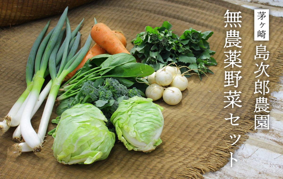 茅ヶ崎 島次郎農園「旬の無農薬野菜セット」(商品コード：TF050014