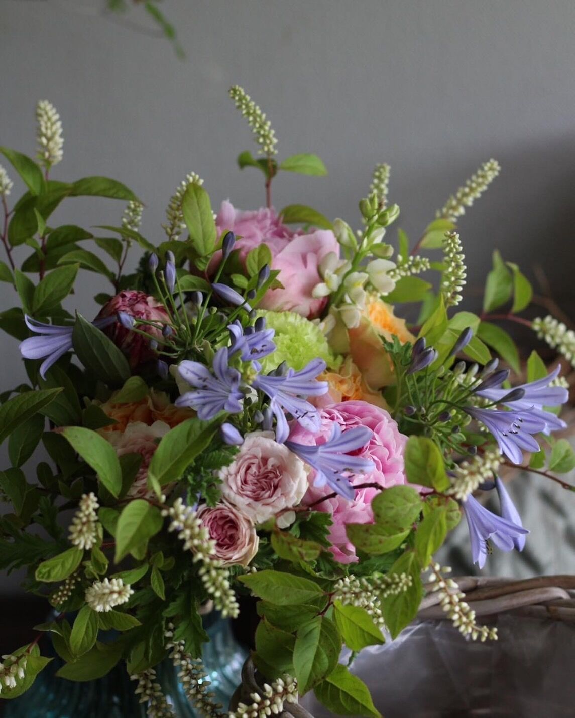 マイセン 18.5cmプレート ワトーの花 グリーンブーケ 6枚セット