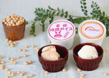 【塩田商店】塩田商店謹製 平塚味噌アイス／味噌チーズアイス 6個入り〈2種×各3個〉（商品コード：TF540376）