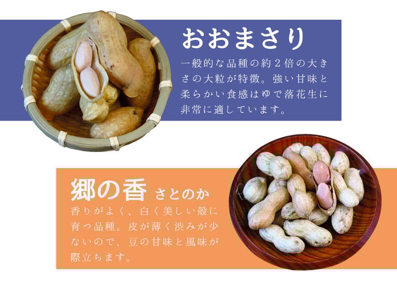 おおまさり、千葉産生落花生箱込み5kg ギフト】小林の落花生 「冷凍ゆで落花生×2袋セット(千葉県産おお