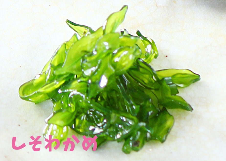 65f3d24e51920102c9c9c026