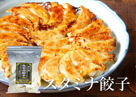 【みやの餃子】スタミナ餃子　★にんにく入り★（冷凍）1袋24個入（商品コード：TF500349）