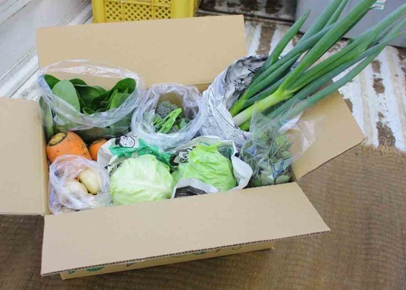 茅ヶ崎 島次郎農園「旬の無農薬野菜セット」(商品コード