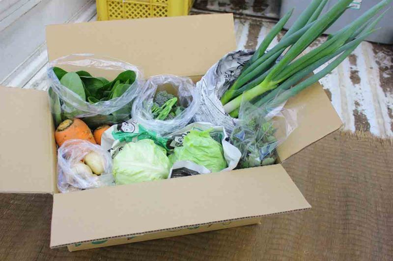 ミカン様用　月山竹　姫竹　わらびセット　 25年無農薬野菜 ミカン様用 月山竹 姫竹 わらびセット 25年無農薬野菜 食品