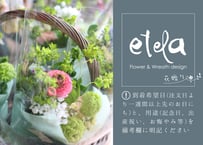 【etela】花贈り「おまかせブーケ」※直径約20cm（商品コード：TG300484）