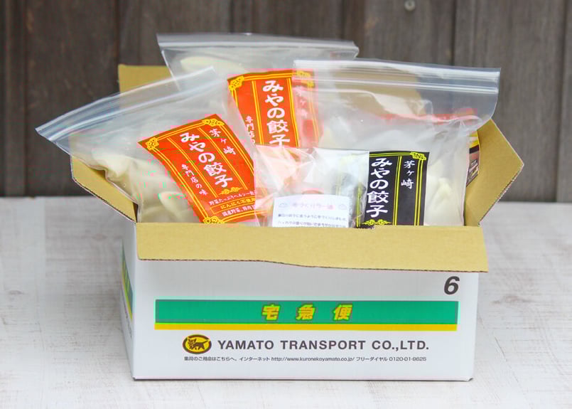 みやの餃子】餃子ギフトセット（冷凍）（商品コード：TF500350
