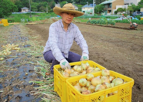 【ご予約販売】令和8年産　春の味覚！獲れたて新玉ねぎ3kg　※お届けは5月中旬頃（商品コード:TF370199）