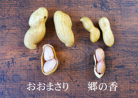 ★2025年新豆★小林の落花生 「冷凍ゆで落花生(千葉県産おおまさり/郷の香)」 ※10個まで送料同一 ！(商品コード：TF030008)