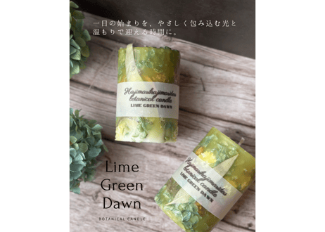 ボタニカルキャンドル「Lime Green Dawn」