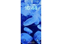 【スマホ壁紙】水中遊びPictures「Jellyfish blue」