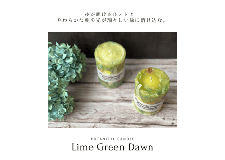 ボタニカルキャンドル「Lime Green Dawn」