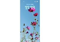 【スマホ壁紙】花遊びPictures「コスモスとブルースカイ」