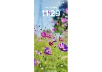 【スマホ壁紙】花遊びPictures「つぶつぶコスモス」