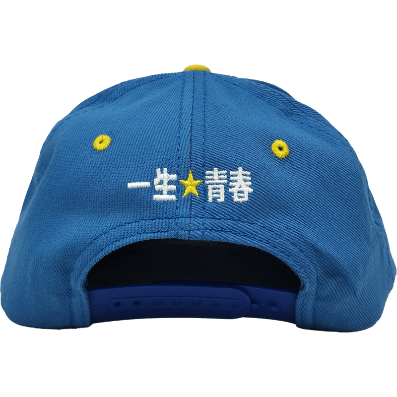 ベースボールキャップ『生涯現役』/送料無料（沖縄離島除く） 一生