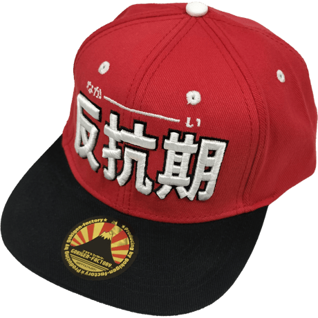 ⭐︎新品未使用⭐︎ バラ売り可 野球 ベースボール キャップ 野球帽 エンジ 10個 楽天市場】ニューエラ NewEra キャップ 9TWENTY 野球チーム 920