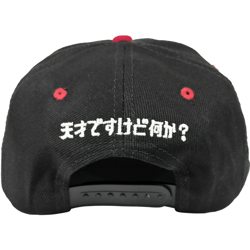 ベースボールキャップ『天才』/送料無料（沖縄離島除く） 凡人のレール