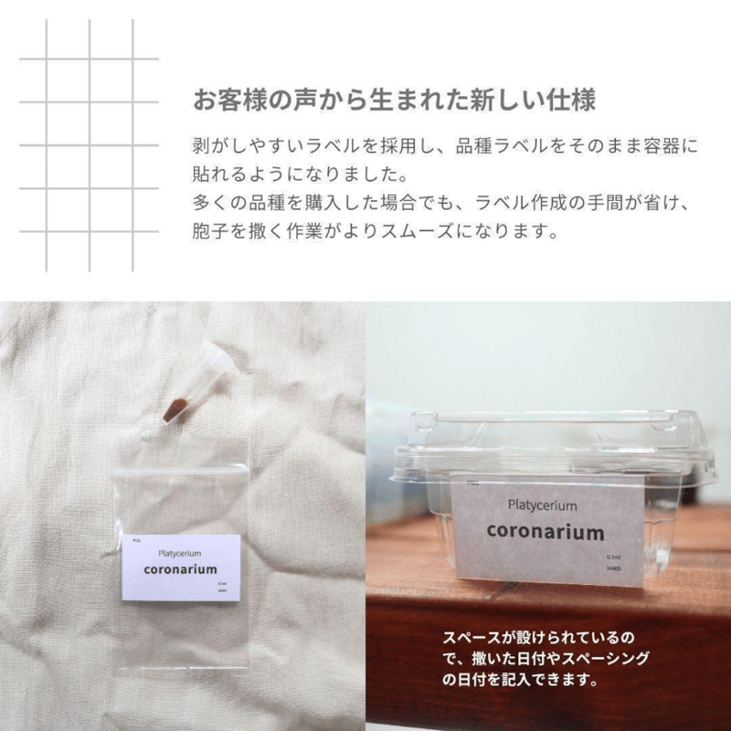 ビカクシダ　胞子培養株　4種セット ビカクシダ胞子培養 エントリーセット ＜コラボver.＞ | IMAMA