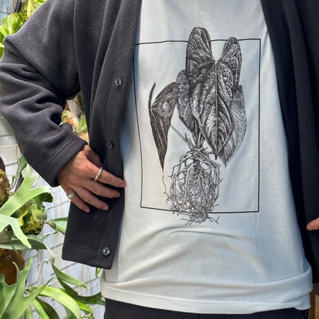 Anthurium Festival chapter2_Tシャツ【ボディ白】