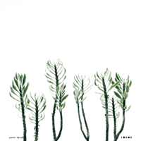 Recording_poster【color ver.】005