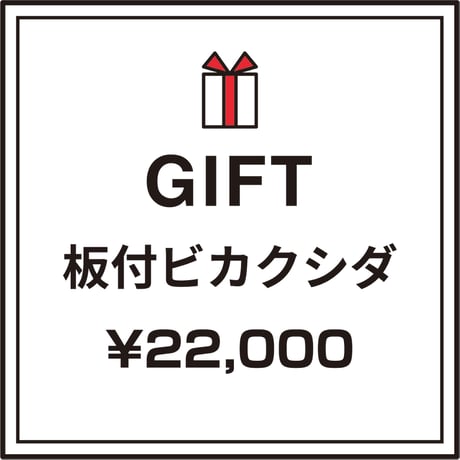 【逸品を贈る】ギフト用おまかせ板付ビカクシダ
