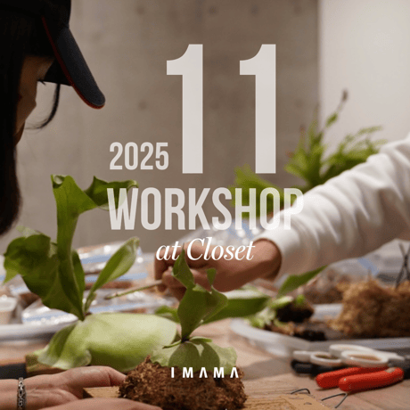 fit=cover,w=460,h=460