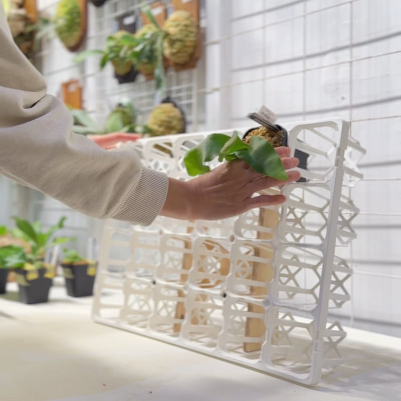 Amsterdam streetトレイと，ハウス4点の5個セット Pot house_90_24（システムトレー24穴＋パーツセット） | IMAMA