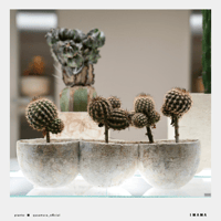 Recording_poster【color ver.】015