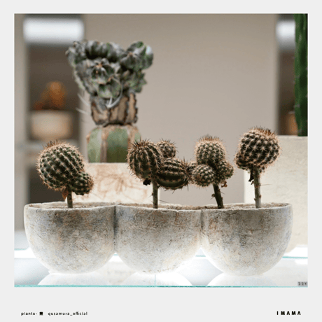 CATEGORY その他関連アイテム | IMAMA