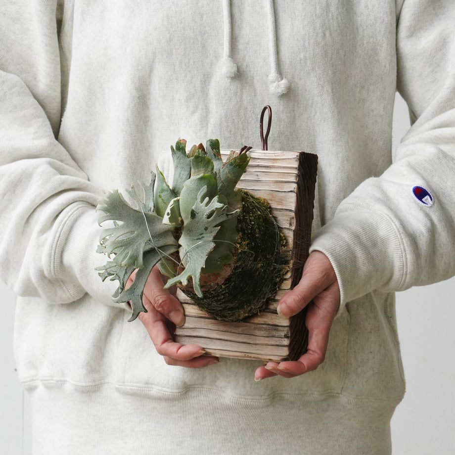69ef2f7baad66f0043a2948b