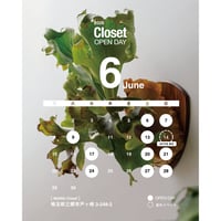 【2026.6月 Closet OPEN DAY】ビカクシダ板付ワークショップ・持ち込み株メンテナンス　※現地決済