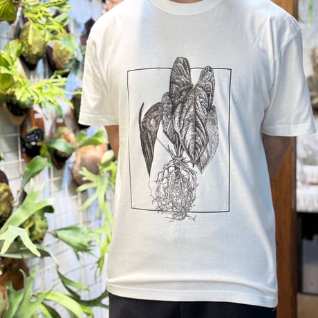 Anthurium Festival chapter2_Tシャツ【ボディ白】