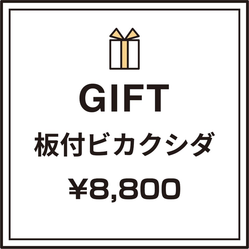 気軽に贈る】ギフト用おまかせ板付ビカクシダ | IMAMA