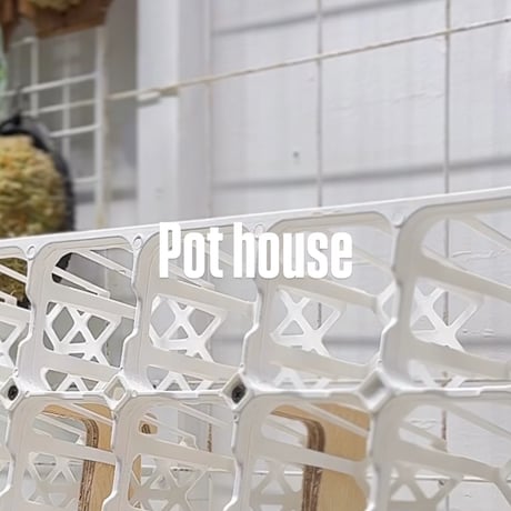 CATEGORY POT HOUSE | IMAMA