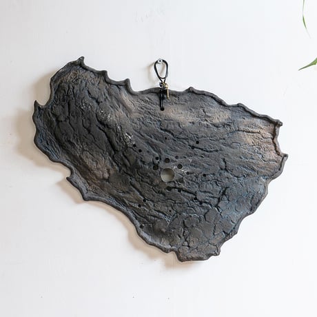 CATEGORY 着生材 | IMAMA