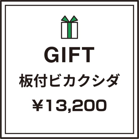 【彩りを贈る】ギフト用おまかせ板付ビカクシダ